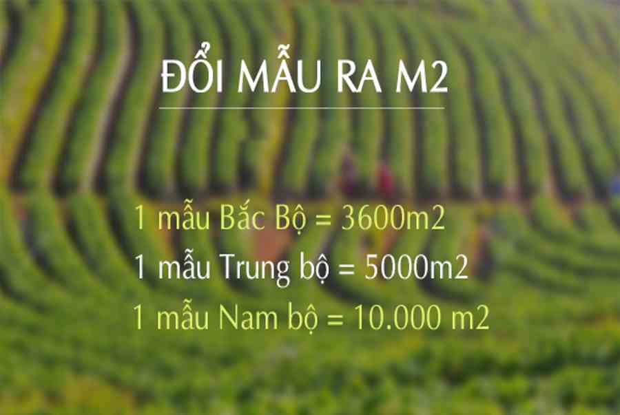 1 mẫu bằng bao nhiêu m2, bằng bao nhiêu ha, bao nhiêu sào? - Kiến Thức Cho Người lao Động Việt Nam