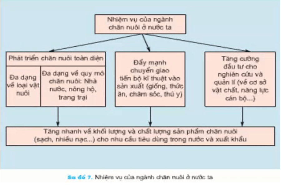 Giải SGK Công Nghệ 7 Bài 30: Vai trò và nhiệm vụ phát triển chăn nuôi (ngắn gọn) - Kiến Thức Cho Người lao Động Việt Nam