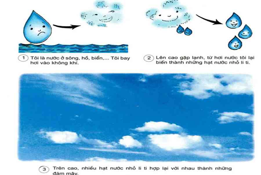 Khoa học lớp 4 Bài 22: Mây được hình thành như thế nào? Mưa từ đâu ra? - Kiến Thức Cho Người lao Động Việt Nam