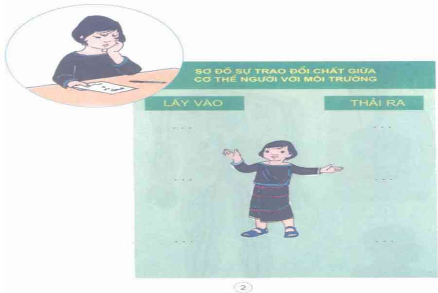 Khoa học lớp 4 Bài 2: Trao đổi chất ở người - Kiến Thức Cho Người lao Động Việt Nam