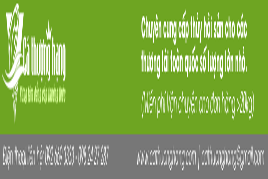 Bảng giá bán buôn các loại Cá & thủy hải sản 2022 cho các thương lái toàn quốc - Kiến Thức Cho Người lao Động Việt Nam