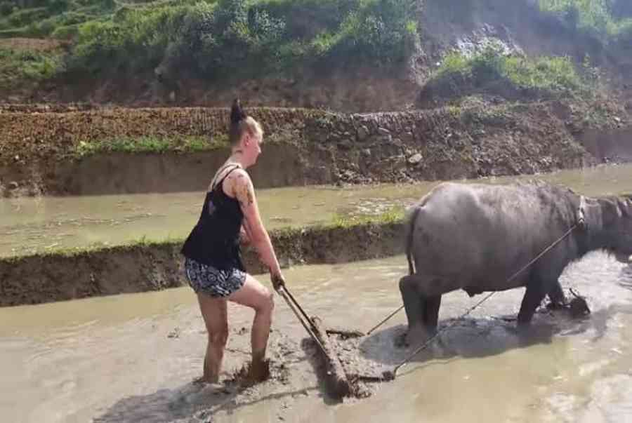 Mơ thấy đi cày ruộng nên lựa chọn đánh lô đề với con số nào? - Kiến Thức Cho Người lao Động Việt Nam