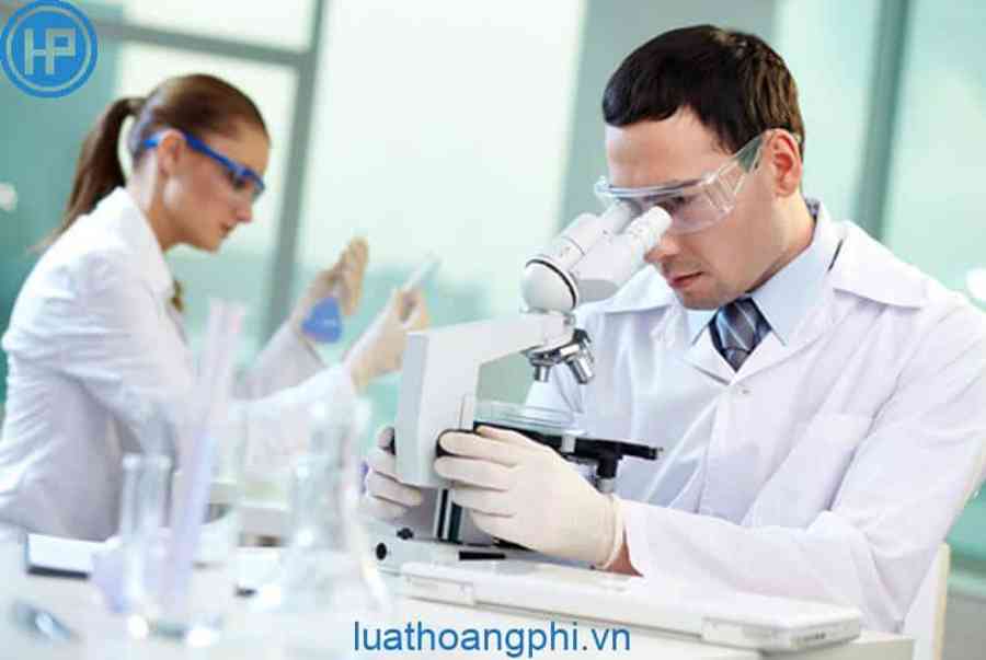 Nghiên cứu sinh tiếng Anh là gì? - Kiến Thức Cho Người lao Động Việt Nam