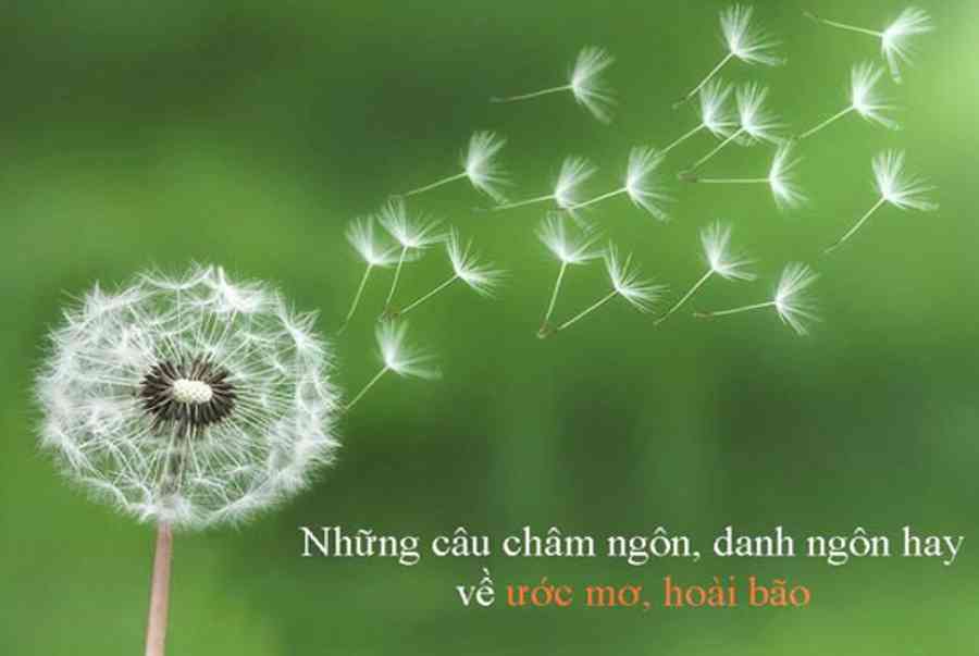 Tổng Hợp Những Câu Nói Hay Về Ước Mơ Ý Nghĩa Nhất - Kiến Thức Cho Người lao Động Việt Nam